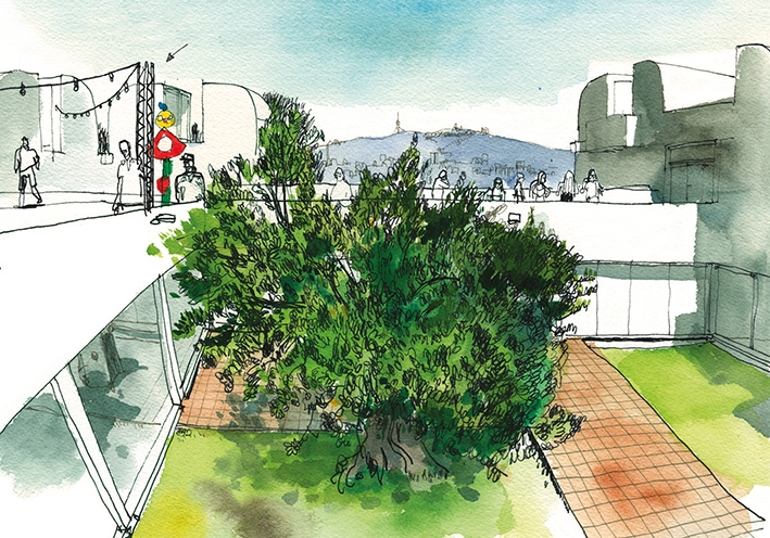 Postal Miró. Árbol en el patio de la Fundació Miró