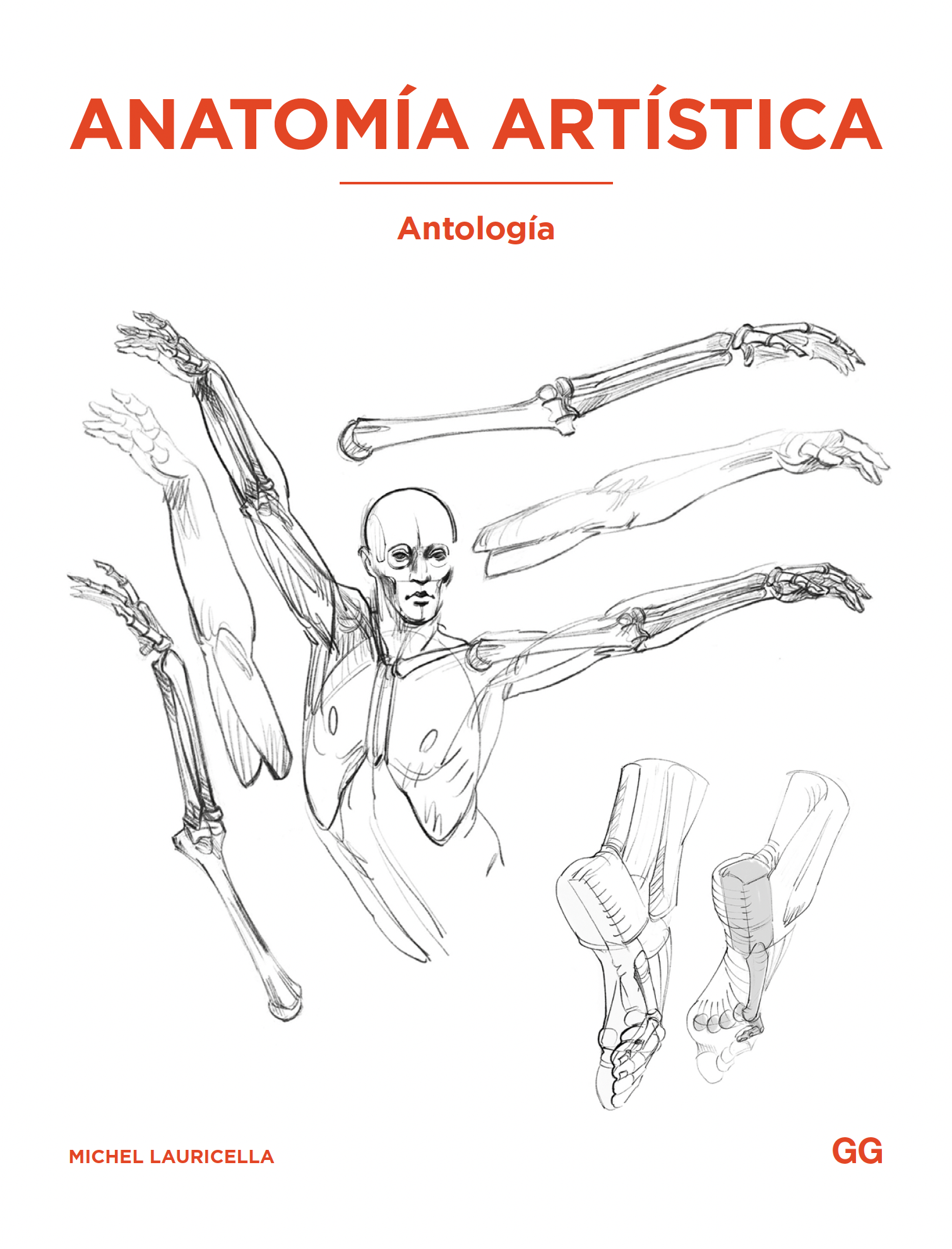 Anatomía artística