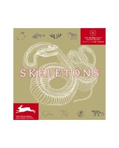 Skeletons