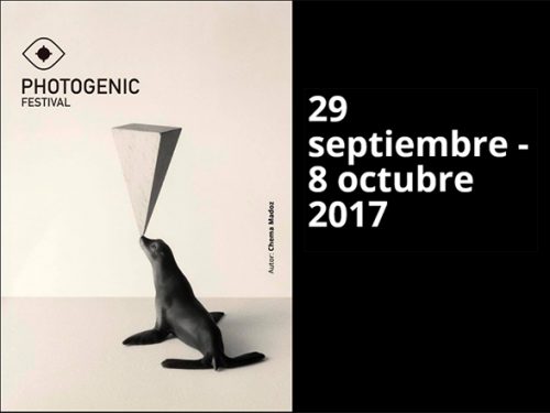 Libros para los fotógrafos emergentes y los nuevos talentos de Photogenic